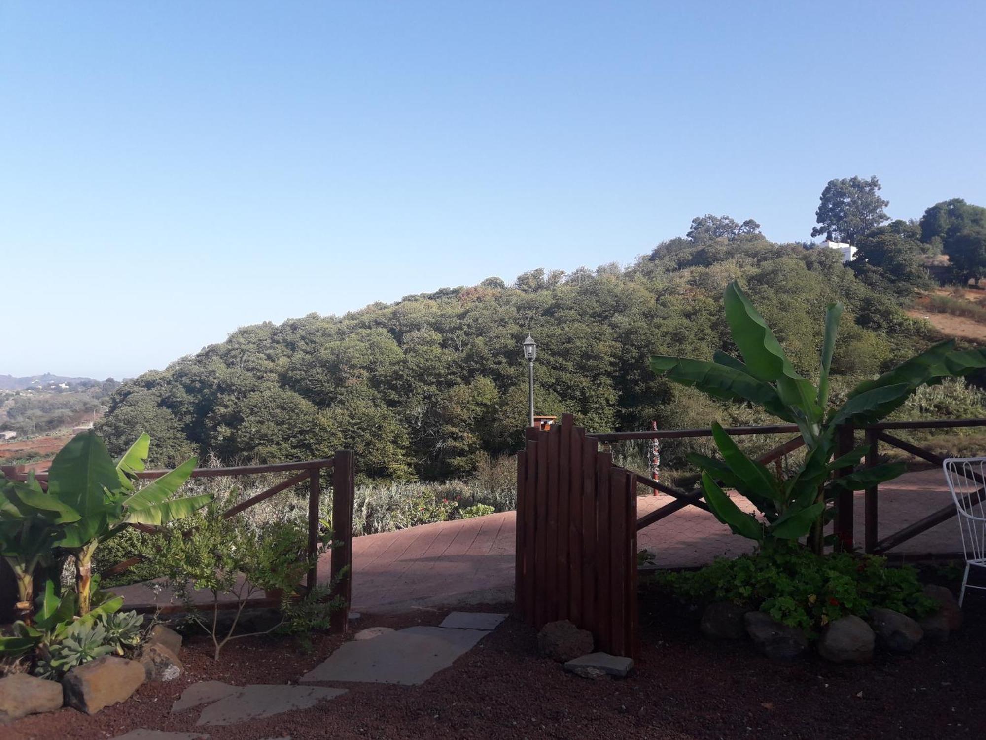 Finca Naturacanaria Moya  Exterior photo