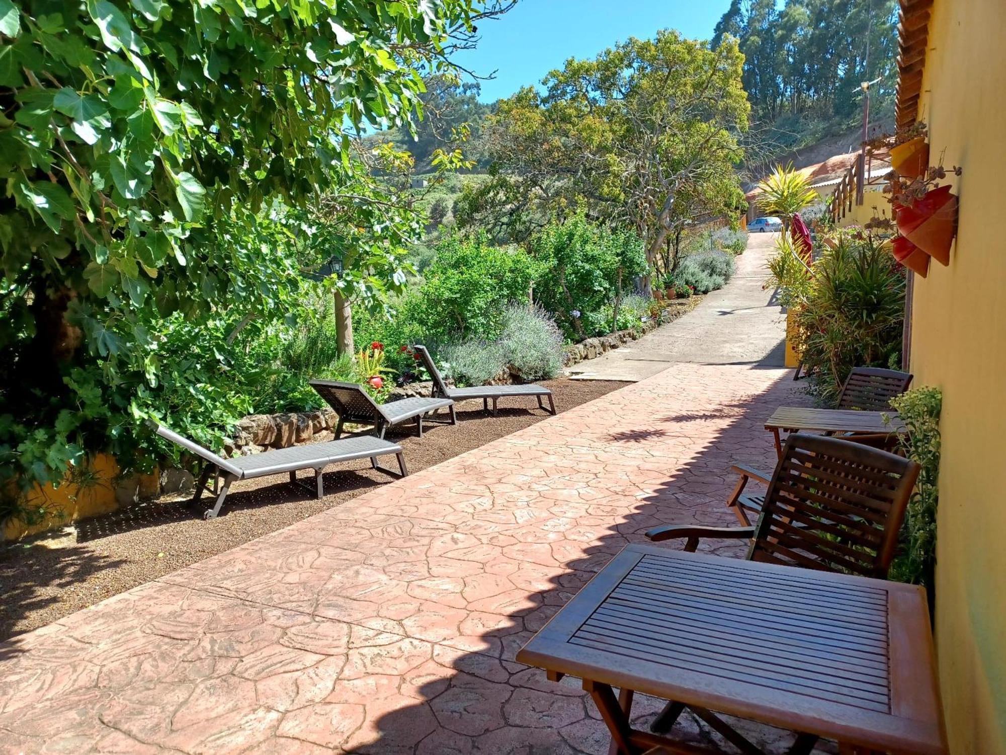 Finca Naturacanaria Moya  Exterior photo